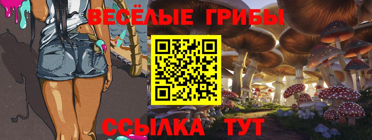 где продают   Галлюциногенные грибы мухоморы  Псилоцибиновые грибы Psilocybine cubensis  Вход с VPN  Фурманов 